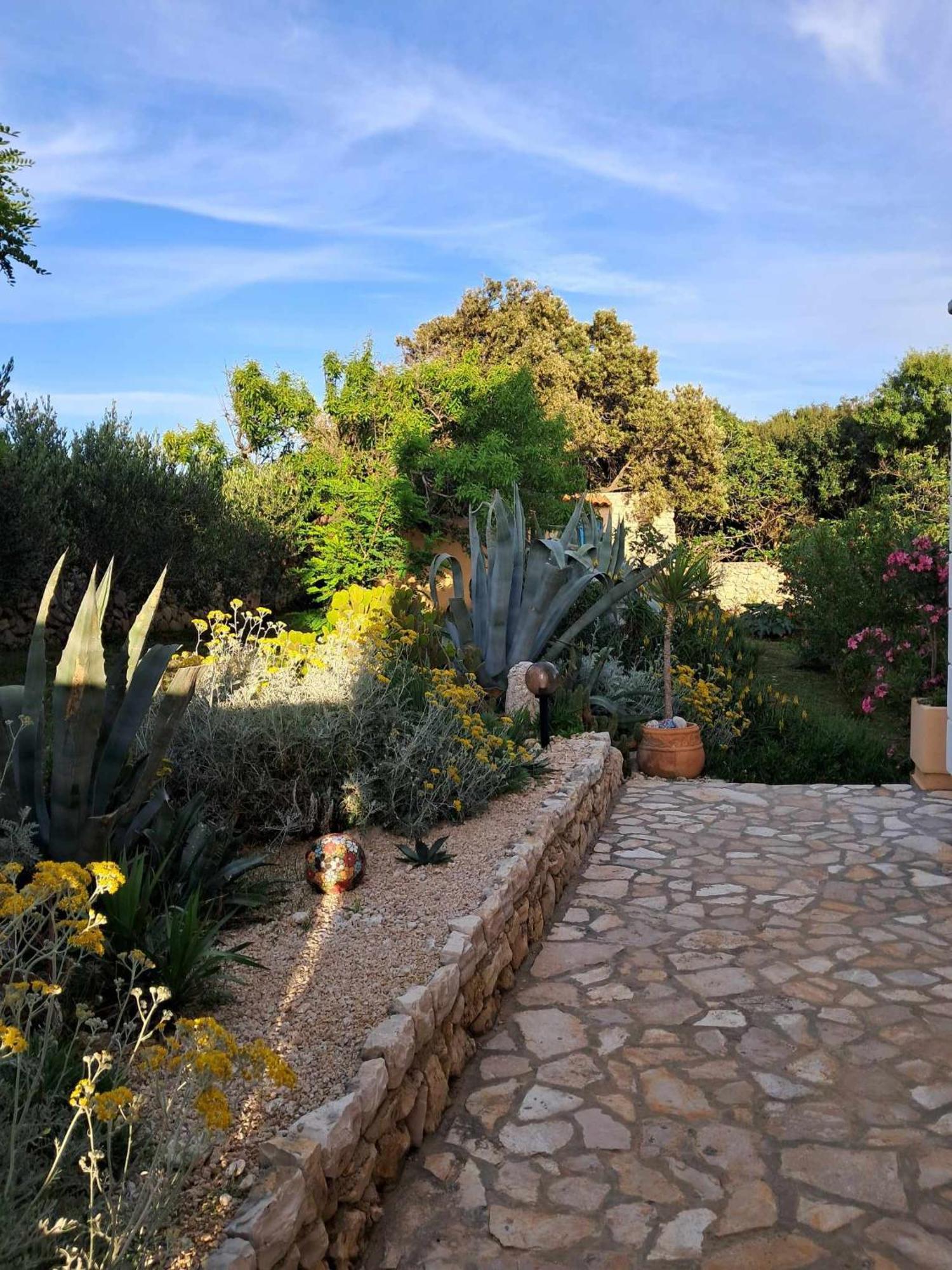 Villa Cesarica Novalja Luaran gambar